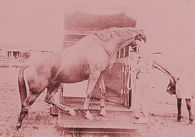 From the private collection of Dr. Sharon E. Cregier