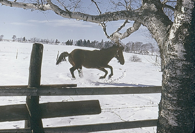From the private collection of Dr. Sharon E. Cregier