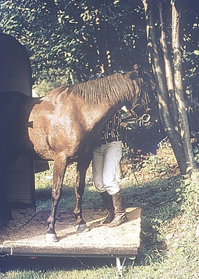 From the private collection of Dr. Sharon E. Cregier