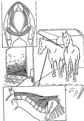 From the private collection of Dr. Sharon E. Cregier
