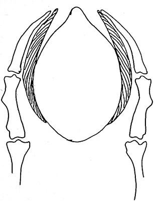 From the private collection of Dr. Sharon E. Cregier